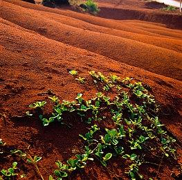 粉丝利用虚幻5自制《塞尔达传说：黃昏公主》场景